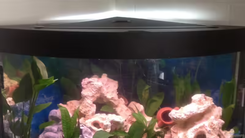 Juwel Trigon 190 Juwel Trigon 190