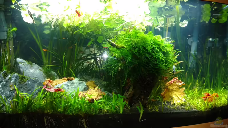 Juwel Vision 180 Juwel Vision 180