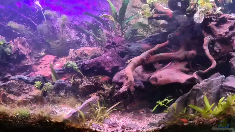 Juwel Vision 180 Juwel Vision 180