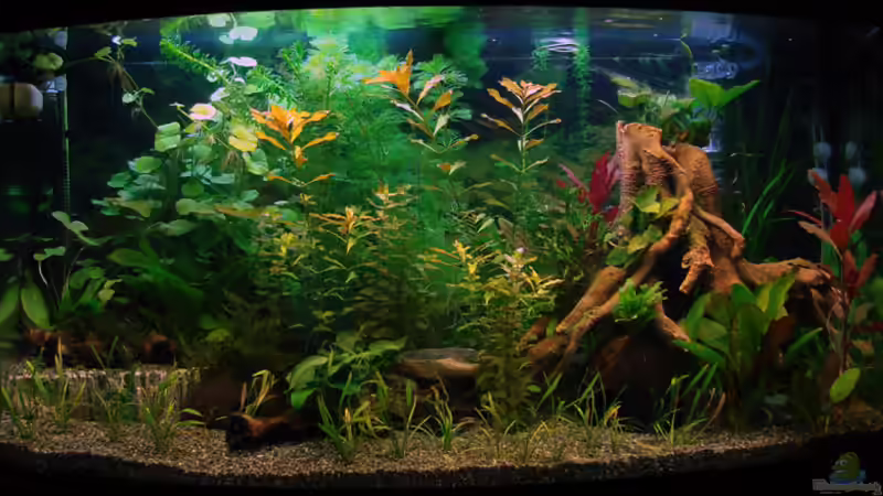 Juwel Vision 180 Juwel Vision 180