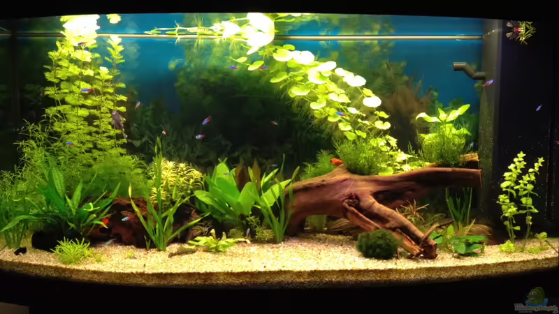 JUWEL Vision 260 JUWEL Vision 260