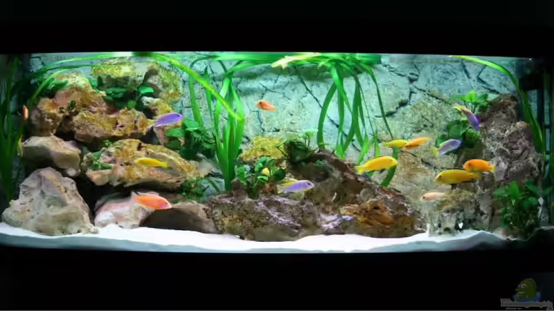 Juwel Vision 450 Juwel Vision 450