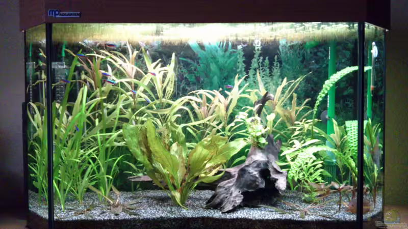 Kessel Buntes ^^ Kessel Buntes ^^