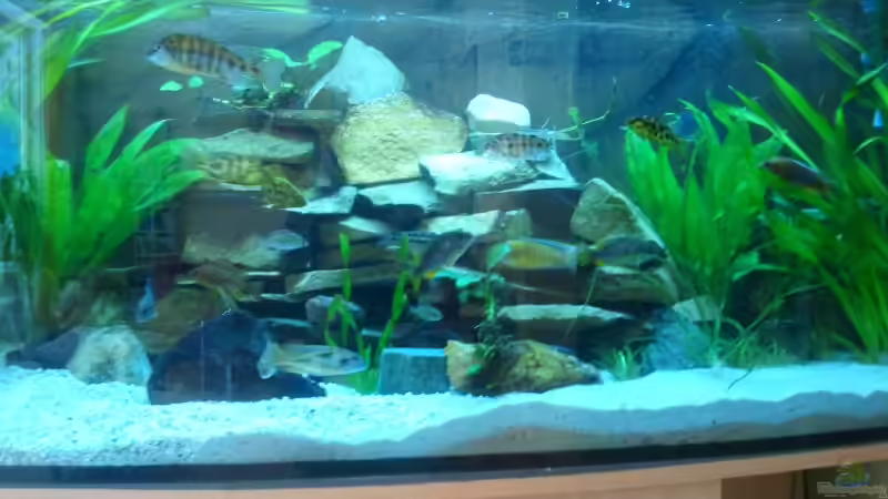 Kleine Unterwasser Welt Kleine Unterwasser Welt