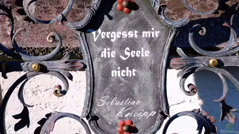 Kneipp-Therapie im eigenen Garten: So planst du dein eigenes Tretbecken