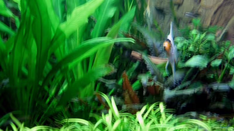 Kommen bessere^^ Kommen bessere^^