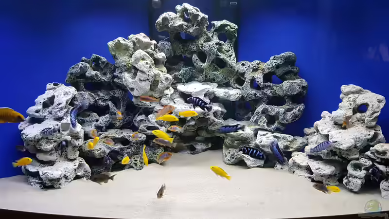 Komplett Ansicht Komplett Ansicht