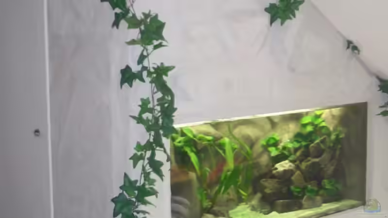 Komplett Ansicht Komplett Ansicht