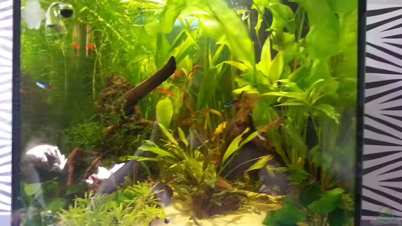 Komplett Ansicht Komplett Ansicht