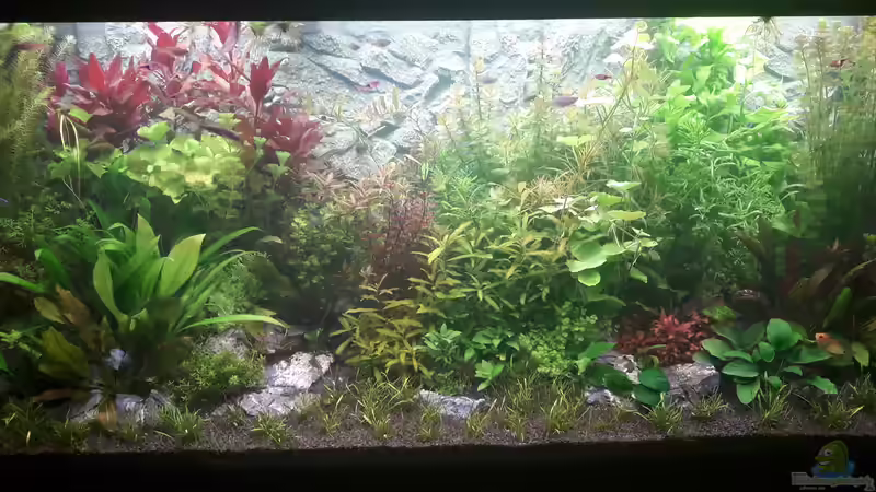 Komplettansicht Komplettansicht