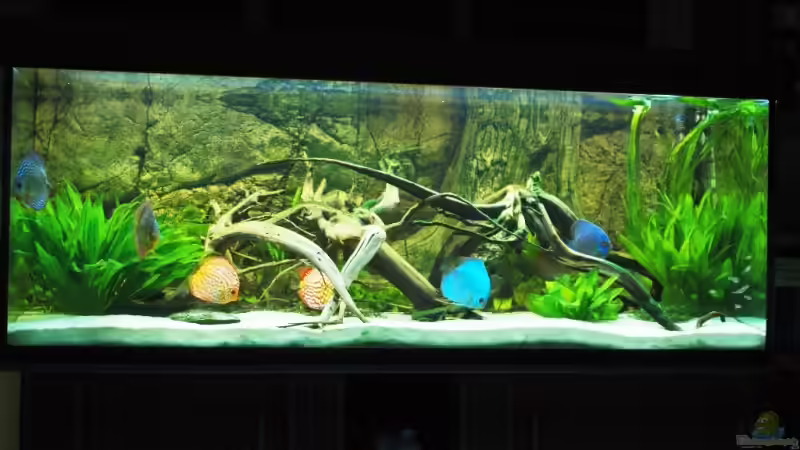 Komplettansicht Aquarim Komplettansicht Aquarim