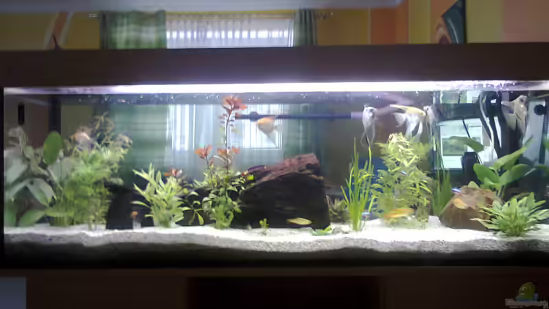 Komplettansicht von Vorne Komplettansicht von Vorne