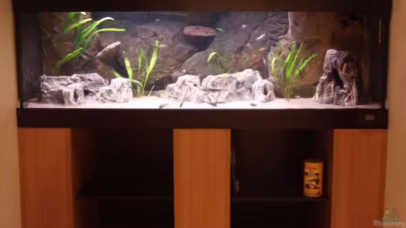 Komplettansicht Komplettansicht