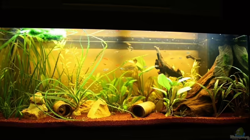 Komplettansicht Komplettansicht