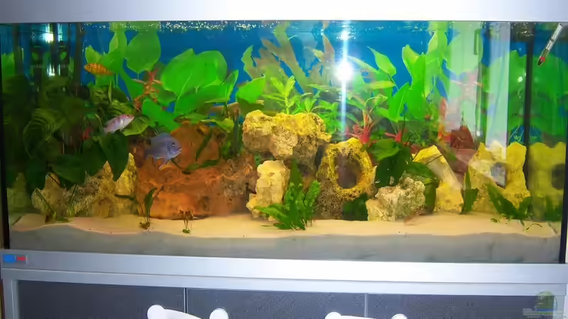 Komplettansicht Komplettansicht