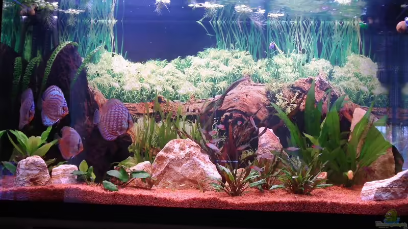 Komplettansicht Komplettansicht