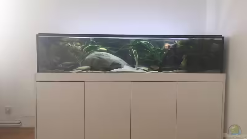 Komplettansicht Komplettansicht