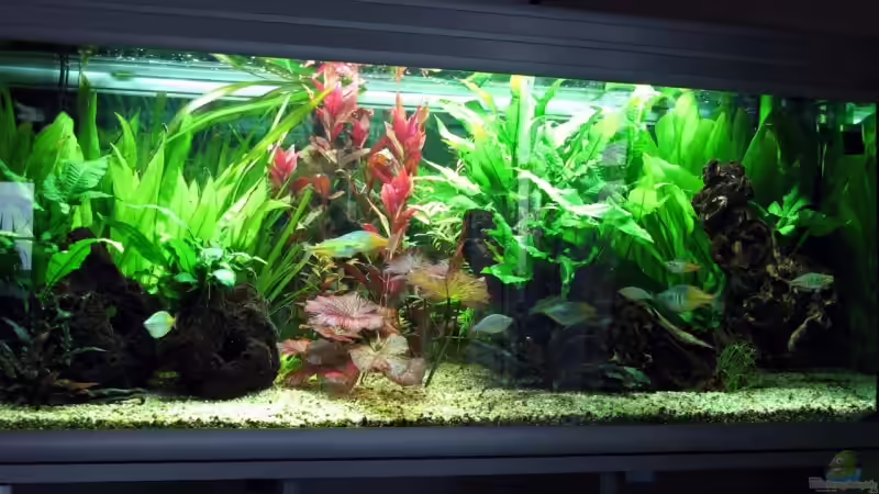 Komplettansicht Komplettansicht