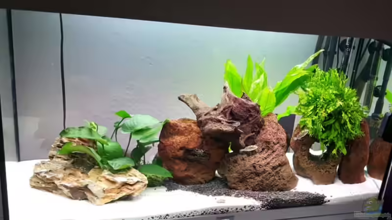 Kufi Becken Kufi Becken