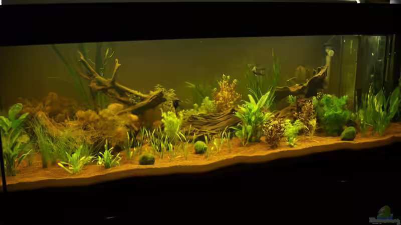 Kurz nach der Einlaufphase Kurz nach der Einlaufphase