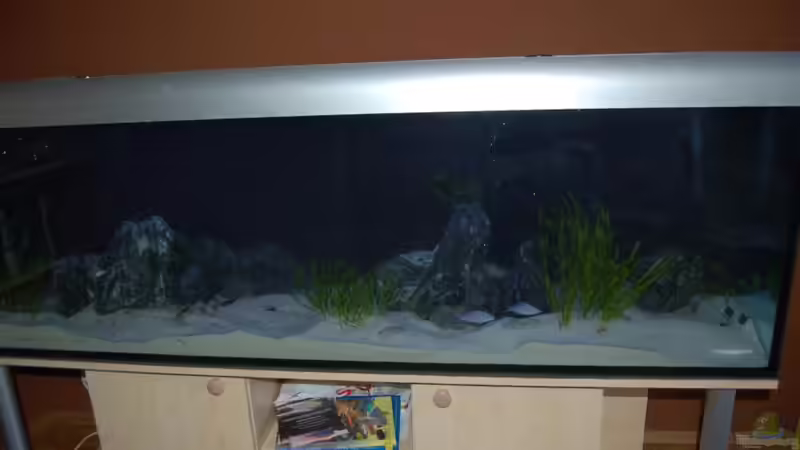 Kurz nach der Einrichtung, noch etwas trüb Kurz nach der Einrichtung, noch etwas trüb