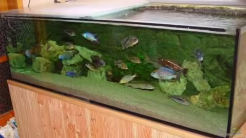 Läst sich leider kein besseres foto machen. Raum zu klein ... Läst sich leider kein besseres foto machen. Raum zu klein ...