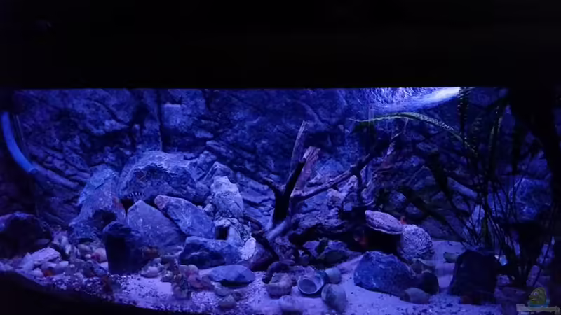 Lake Tanganjika Lake Tanganjika