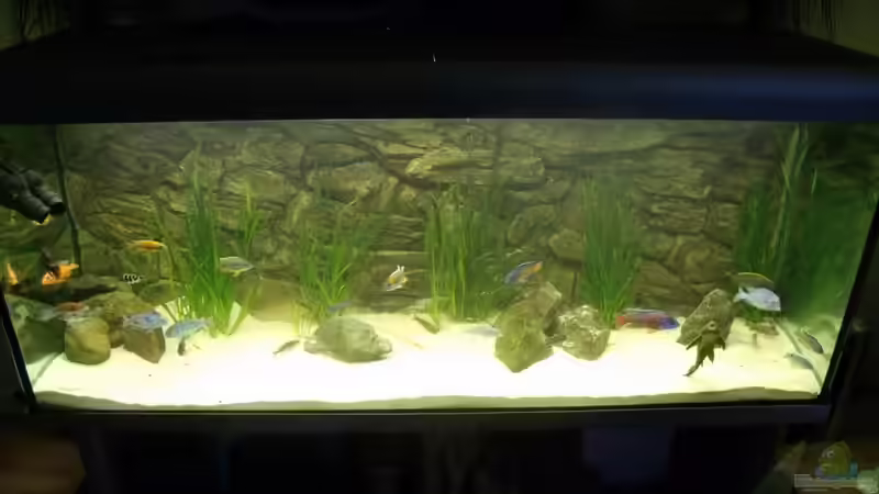 lake wohnzimmer lake wohnzimmer