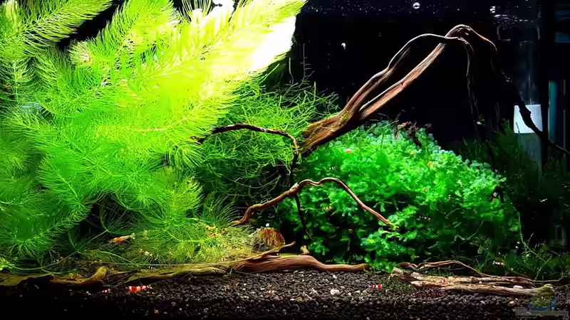 Layout Datum: 13.11.2016 Layout Datum: 13.11.2016