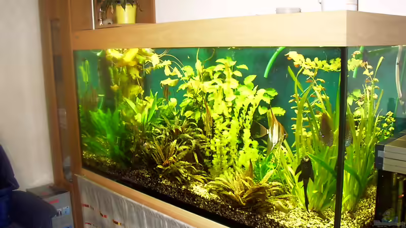 Leider schlechte Camera Leider schlechte Camera