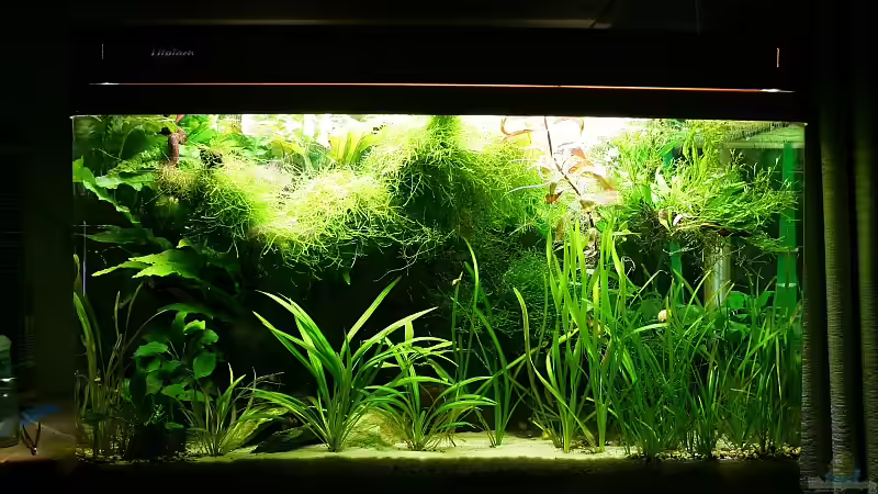 Letztes Foto des Südamerika-Beckens Letztes Foto des Südamerika-Beckens