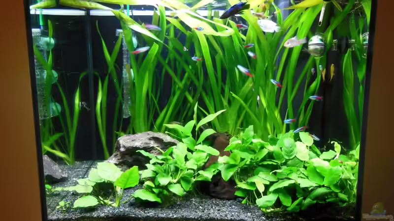 Lido 120 in weiss Lido 120 in weiss