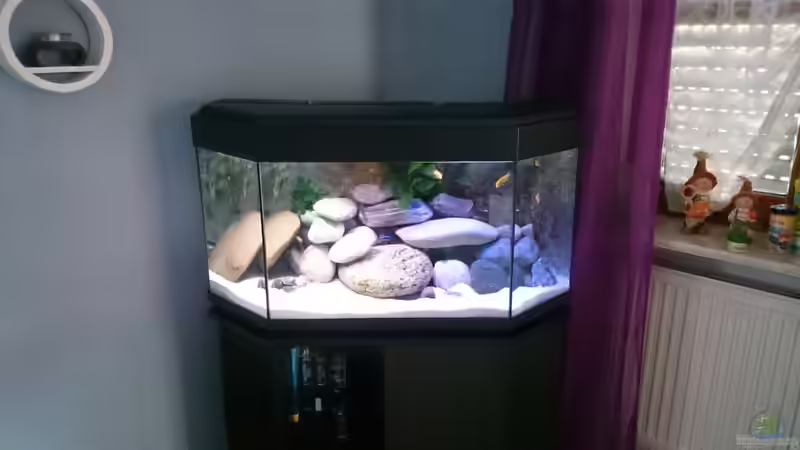 Little malawi Little malawi