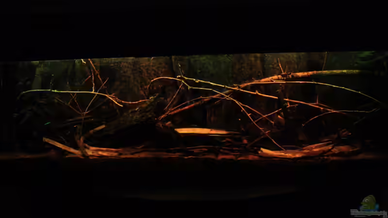 Little Rio Negro, März 2013 Little Rio Negro, März 2013