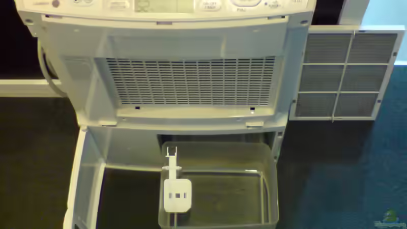 Luftentfeuchter im Aquaristik- und Terrarienbereich: So schützen Sie Ihr Zuhause und Ihre Tiere