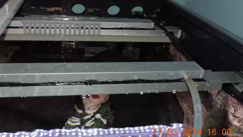 Einrichtungsbeispiele für Aquarien mit Kühlung