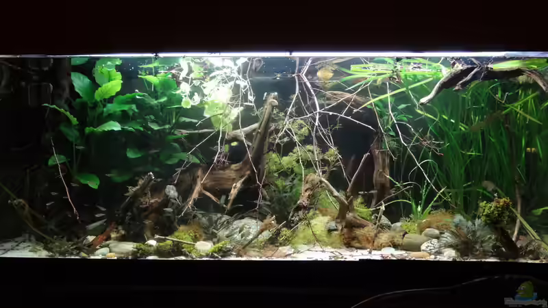 März 2015 März 2015