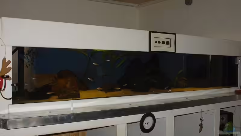 Mal die ganze Breite! Mal die ganze Breite!