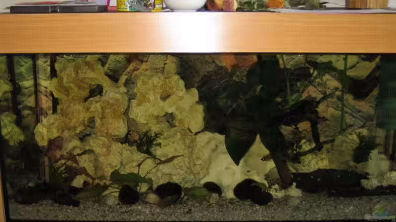 Malawi 200 Liter Malawi 200 Liter