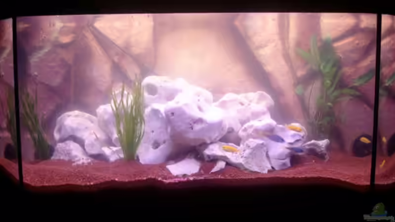 Malawi 200 Malawi 200