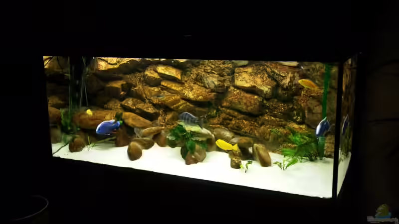 Malawi 540 Liter Malawi 540 Liter