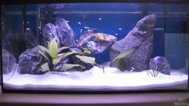 Malawi Kinderstube Malawi Kinderstube