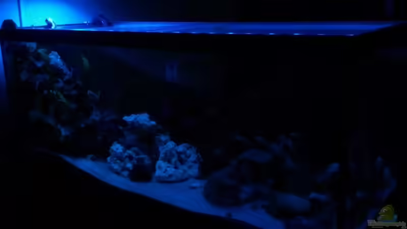 Malawi-Raumteiler 540L Malawi-Raumteiler 540L