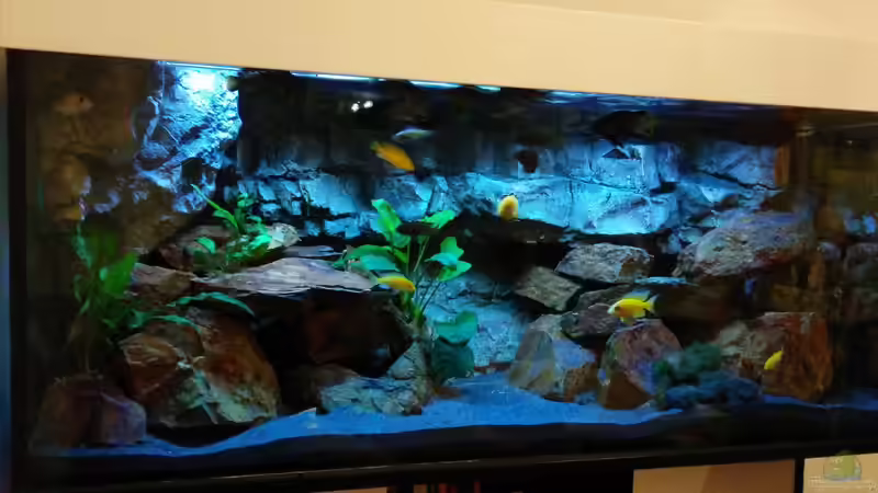 Malawi Sunrise Malawi Sunrise