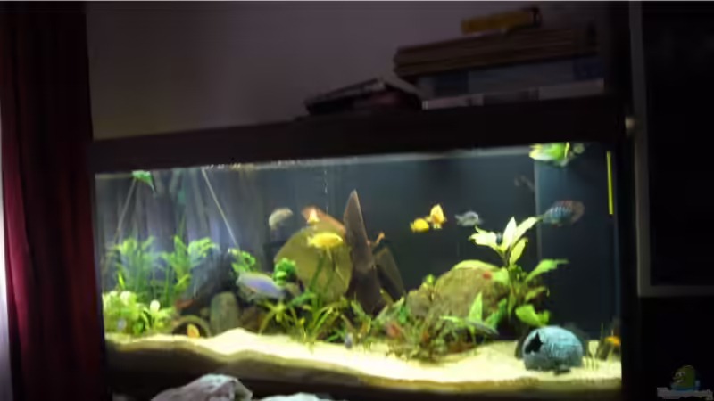 Malawi und südafrika Malawi und südafrika