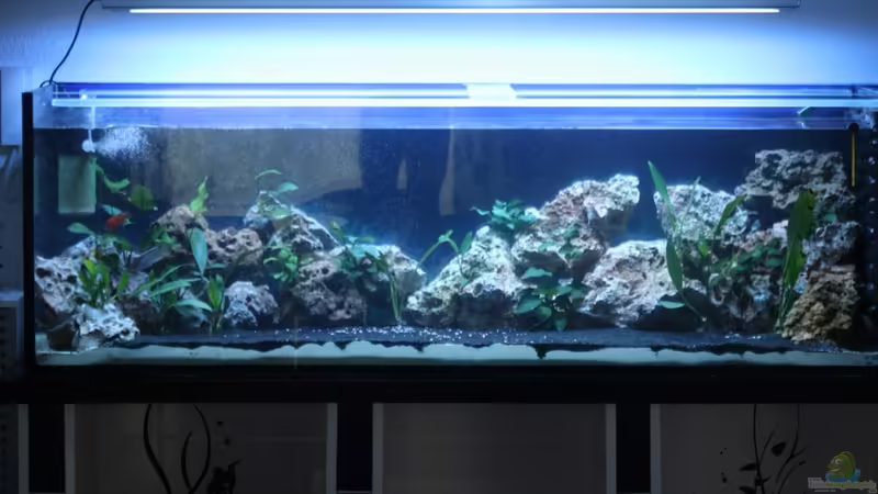 Malawi Welt Malawi Welt