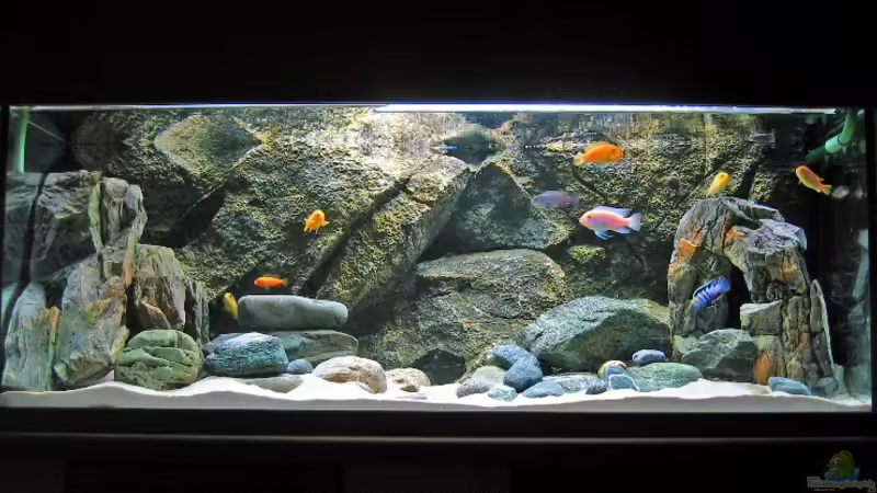 Malawibecken 130x50x50 325 Ltr. Malawibecken 130x50x50 325 Ltr.