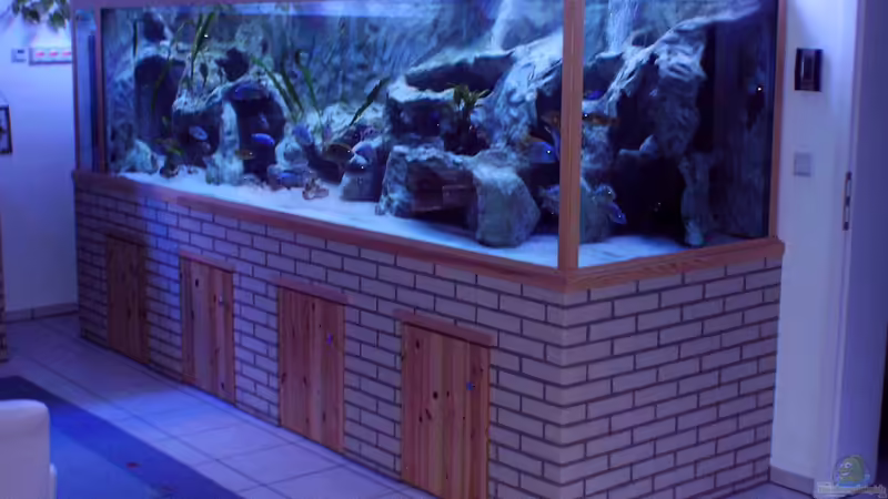 Malawibecken 3150 Liter Malawibecken 3150 Liter