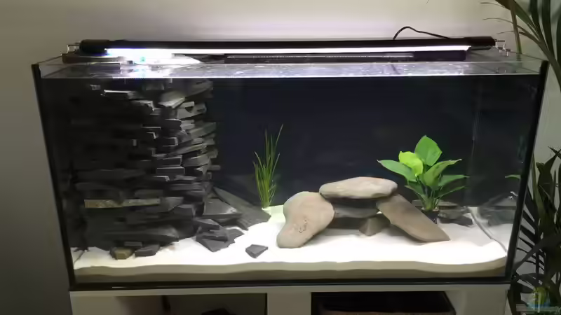 Malawibecken in der Einlaufphase Malawibecken in der Einlaufphase