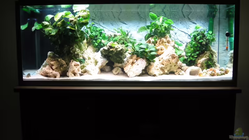 Malawibecken Malawibecken